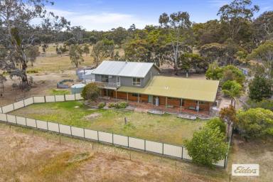 House For Sale - VIC - Stawell - 3380 - Space and Serenity on 15 Acres (Image 2)