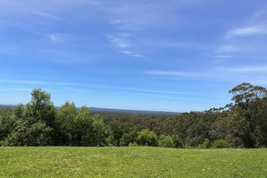 House For Lease - NSW - Tapitallee - 2540 - Spacious 3 Bedroom Home With Stunning Views  (Image 2)