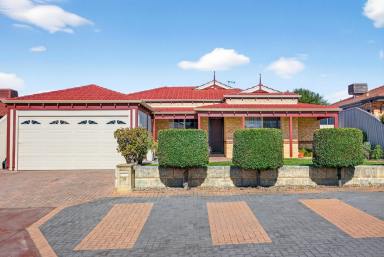 House For Sale - WA - Alexander Heights - 6064 - Modern 4x2 + Study in a Whisper-Quiet Cul-de-Sac!  (Image 2)