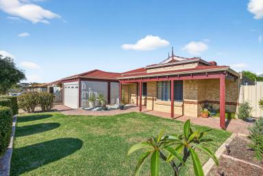 House For Sale - WA - Alexander Heights - 6064 - Modern 4x2 + Study in a Whisper-Quiet Cul-de-Sac!  (Image 2)