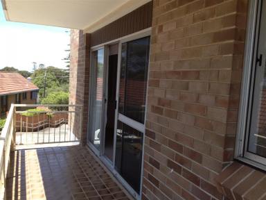 Unit For Lease - NSW - Kiama - 2533 - Neat and tidy unit in the centre of town  (Image 2)