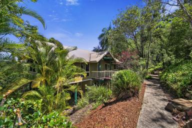 House For Sale - QLD - Tinbeerwah - 4563 - Private Hinterland Treehouse on 2 Hectares Just Minutes from Noosa  (Image 2)