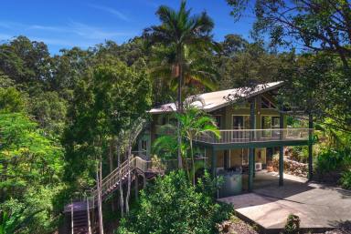 House For Sale - QLD - Tinbeerwah - 4563 - Private Hinterland Treehouse on 2 Hectares Just Minutes from Noosa  (Image 2)