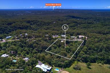 House For Sale - QLD - Tinbeerwah - 4563 - Private Hinterland Treehouse on 2 Hectares Just Minutes from Noosa  (Image 2)