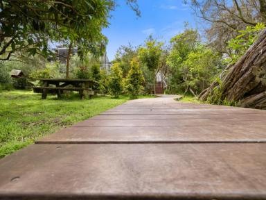 House For Sale - VIC - Sandy Point - 3959 - Superbly updated stylish seaside escape with sundrenched north facing aspect  (Image 2)