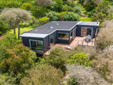 House For Sale - VIC - Sandy Point - 3959 - Superbly updated stylish seaside escape with sundrenched north facing aspect  (Image 2)