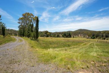 Lifestyle For Sale - NSW - Goulburn - 2580 - Country Serenity Just 15 Minutes from Goulburn CBD  (Image 2)