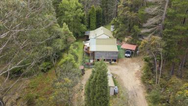 Acreage/Semi-rural For Sale - NSW - Doctors Gap - 2790 - Escape The City – A Serene Lifestyle Awaits!  (Image 2)
