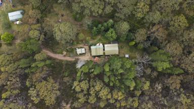 Acreage/Semi-rural For Sale - NSW - Doctors Gap - 2790 - Escape The City – A Serene Lifestyle Awaits!  (Image 2)