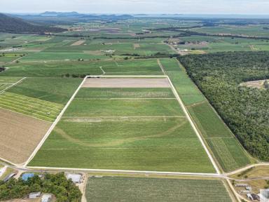 Residential Block For Sale - QLD - Silky Oak - 4854 - Approx. 75 Acres of Prime Farming Land  (Image 2)