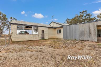 Lifestyle For Sale - VIC - Lockington - 3563 - Great Opportunity to Renovate to Your Liking - and Best of All...No Neighbours! (Image 2)