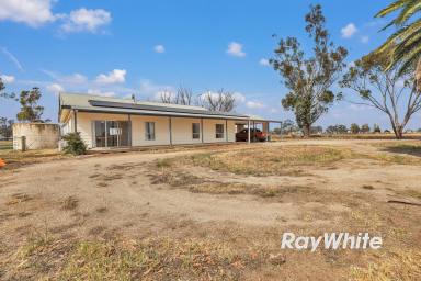Lifestyle For Sale - VIC - Lockington - 3563 - Great Opportunity to Renovate to Your Liking - and Best of All...No Neighbours! (Image 2)