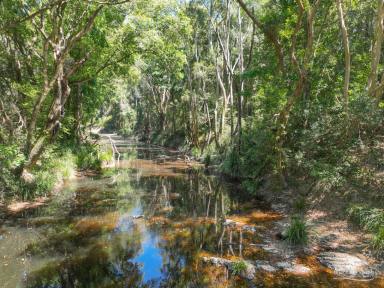 Residential Block For Sale - NSW - Wang Wauk - 2423 - A Rare 153.8 Hectare Holding – Prime Position, Endless Potential  (Image 2)