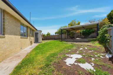 House For Lease - TAS - Glenorchy - 7010 - Pet Friendly Family Home (Image 2)