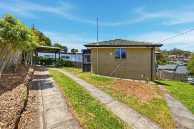 House For Lease - TAS - Glenorchy - 7010 - Pet Friendly Family Home (Image 2)