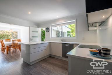 House For Sale - NSW - Glencoe - 2365 - Quality, Space & Style – A Renovation Masterpiece  (Image 2)