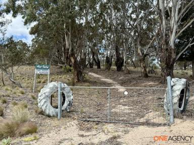 Lifestyle For Sale - NSW - Jerangle - 2630 - "ALAN VALLEY "  JERANGLE WILDERNESS RETREAT IN THE HILLS  (Image 2)
