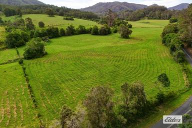 Acreage/Semi-rural For Sale - NSW - Killabakh - 2429 - A Rare 163 Acre Holding - First Time Offered Since 1901  (Image 2)