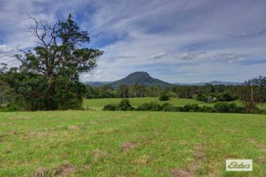 Acreage/Semi-rural For Sale - NSW - Killabakh - 2429 - A Rare 163 Acre Holding - First Time Offered Since 1901  (Image 2)