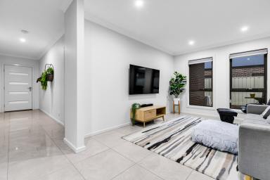 House For Sale - VIC - Mildura - 3500 - Modern Family Living with Outdoor Movie Courtyard  (Image 2)