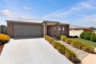 House Sold - VIC - Mildura - 3500 - Modern Family Living with Outdoor Movie Courtyard (Image 2)