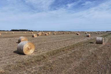 Cropping For Sale - VIC - Roslynmead - 3564 - MIXED FARMING WITH IRRIGATION  (Image 2)
