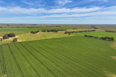 Cropping For Sale - VIC - Roslynmead - 3564 - MIXED FARMING WITH IRRIGATION  (Image 2)