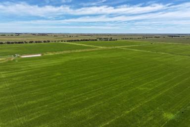 Cropping For Sale - VIC - Roslynmead - 3564 - MIXED FARMING WITH IRRIGATION  (Image 2)
