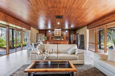 House For Sale - VIC - Junortoun - 3551 - Tranquil Mudbrick Retreat  (Image 2)