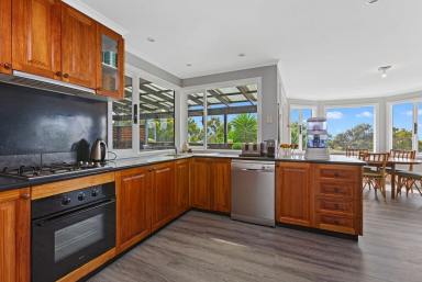 House For Sale - VIC - Apollo Bay - 3233 - EXPANSIVE RETREAT AT THE TOP OF TOWN  (Image 2)