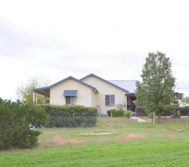 House For Sale - NSW - Cowra - 2794 - Spacious Family Living on Over an Acre The Best of Town Convenience and Rural Lifestyle  (Image 2)