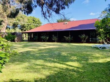 House For Sale - VIC - Rosebud - 3939 - A private yet central Peninsula retreat, perfect for summer and winter living  (Image 2)