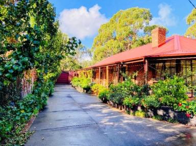 House For Sale - VIC - Rosebud - 3939 - ENTERTAINERS DELIGHT  (Image 2)