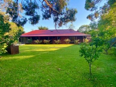 House For Sale - VIC - Rosebud - 3939 - A private yet central Peninsula retreat, perfect for summer and winter living  (Image 2)