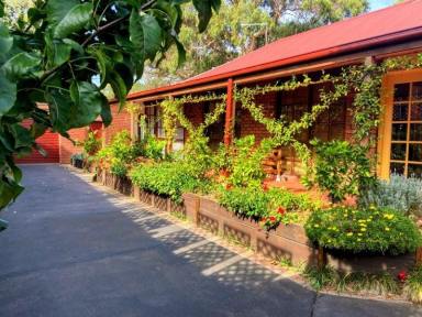 House For Sale - VIC - Rosebud - 3939 - A private Mornington Peninsula retreat, perfect for summer and winter living  (Image 2)