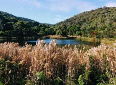 House For Sale - VIC - Rosebud - 3939 - Home and Garden by the Beach and Bay (Image 2)