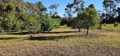 Other (Rural) Sold - WA - Deanmill - 6258 - Rare rural retreat for sale  (Image 2)