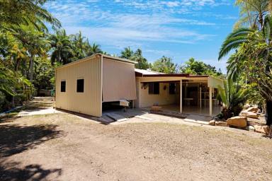 House For Sale - QLD - Alice River - 4817 - Peaceful Country Living Amongst the Palms - Just 20 minutes from Townsville - A Prize Winner!  (Image 2)