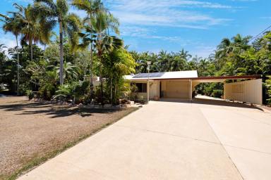 House For Sale - QLD - Alice River - 4817 - Peaceful Country Living Amongst the Palms - Just 20 minutes from Townsville - A Prize Winner!  (Image 2)