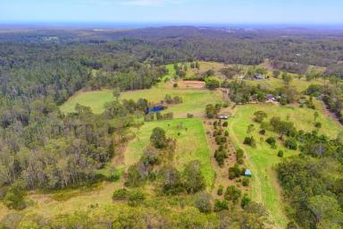 Acreage/Semi-rural For Sale - NSW - Rainbow Flat - 2430 - Outstanding Rural Holding on The Lakesway!  (Image 2)