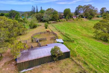 Acreage/Semi-rural For Sale - NSW - Rainbow Flat - 2430 - Outstanding Rural Holding on The Lakesway!  (Image 2)