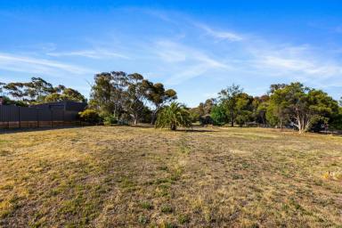 Residential Block Sold - VIC - Maiden Gully - 3551 - A Rare 1/2 acre in a Premium Setting (Image 2)