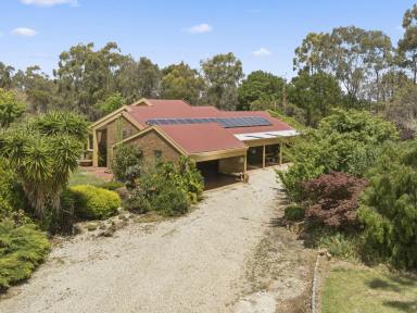 Acreage/Semi-rural For Sale - VIC - Hilldene - 3660 - Magnificent 3-bedroom home on Acreage (Image 2)