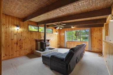 House For Sale - VIC - Noojee - 3833 - Wow, Wow, Wow (Image 2)