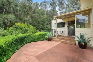 House For Sale - VIC - Noojee - 3833 - Wow, Wow, Wow  (Image 2)