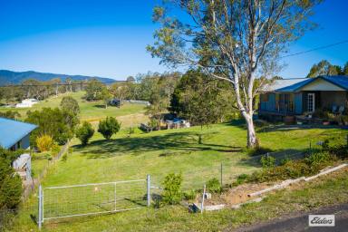 Residential Block For Sale - NSW - Bemboka - 2550 - BUILD YOUR VISION IN THE HEART OF BEMBOKA (Image 2)