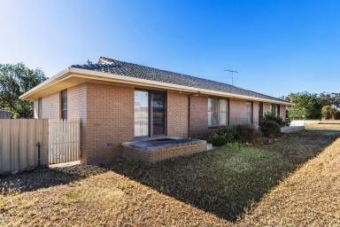 House For Sale - VIC - Bagshot North - 3551 - Experience the charm of farm-style living on a manageable acre  (Image 2)