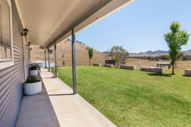 Lifestyle For Sale - NSW - Mudgee - 2850 - YOUR PRIVATE RURAL ESCAPE AWAITS  (Image 2)