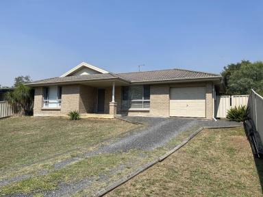 House For Sale - NSW - Denman - 2328 - Immaculate Three-Bedroom Brick Veneer Home with Exceptional Privacy and Modern Features  (Image 2)