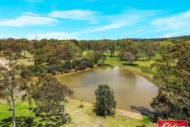 House For Sale - SA - Cromer - 5235 - "Whispering Pines" Idyllic Private Country Setting, Enchanting Gardens. (Image 2)